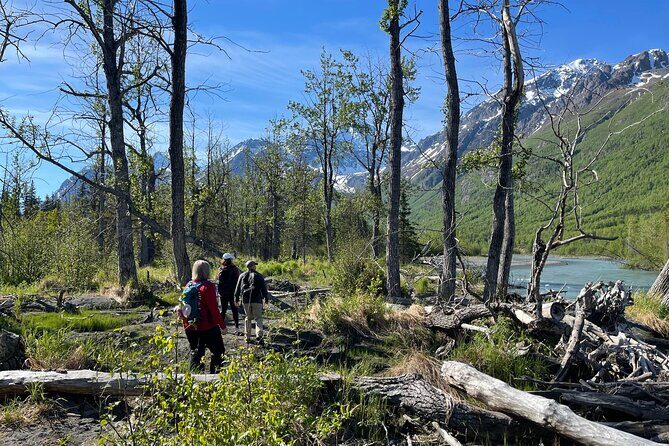 Summer Valley and Forest Hike - What’s the Tour All About?