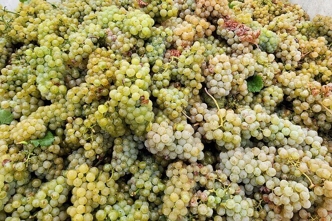 Summerland Private Wine Tour - Full Day - FAQ