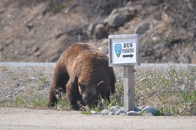 Summit Experience & Yukon Suspension Bridge Tour - A Deep Dive into the Tour