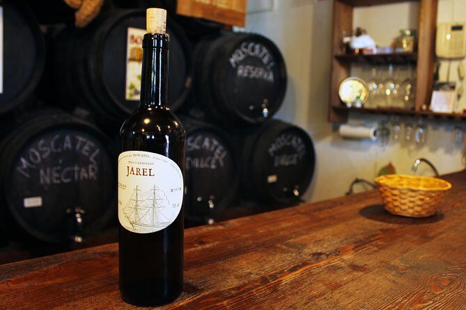 Sun and Wine Route - Small group, wine tasting and lunch included - Key Points