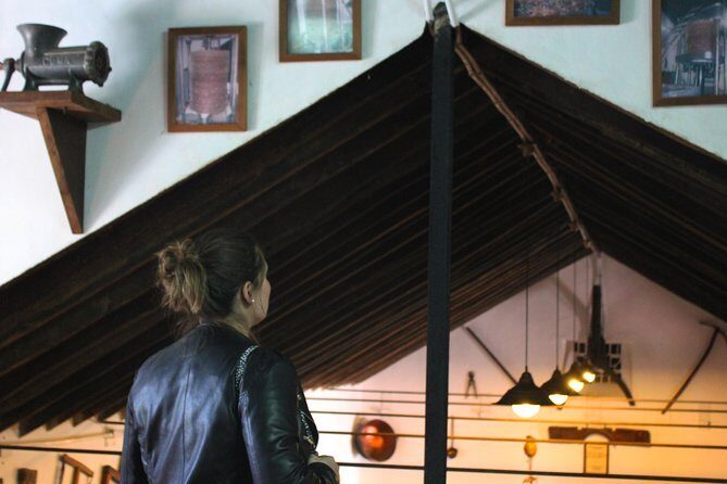 Sun and Wine Route - Small group, wine tasting and lunch included - Who Would Love This Tour?