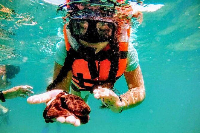 Sun, Sea & Streets: Beach Day + Snorkel Adventure & City Tour - Whats Not Included and Considerations