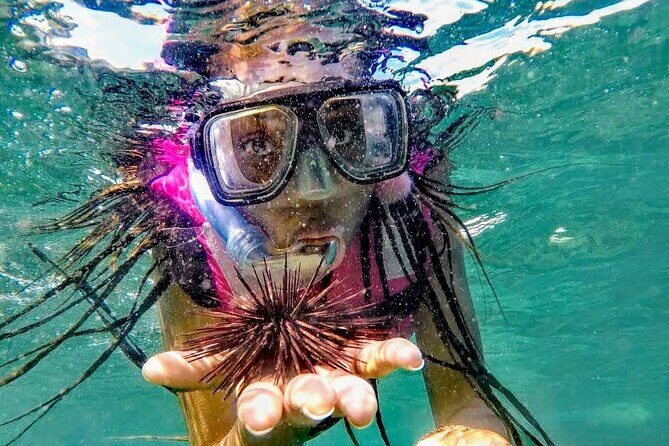 Sun, Sea & Streets: Beach Day + Snorkel Adventure & City Tour - Real Traveler Experiences