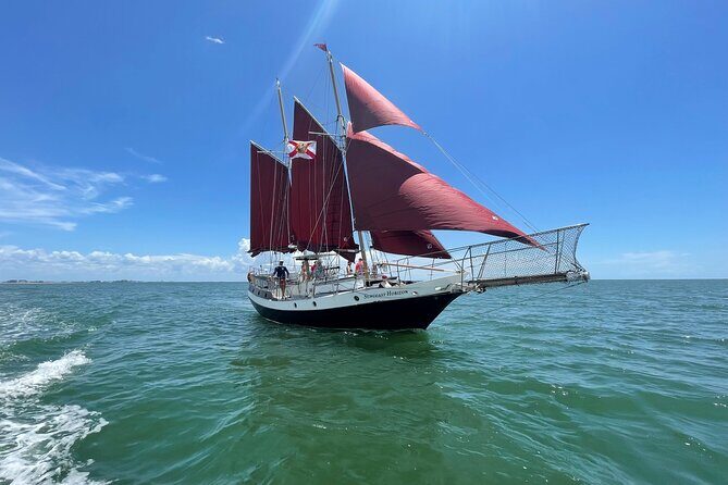 Suncoast Sailing's Day Sailing Experience! - The Value for Money