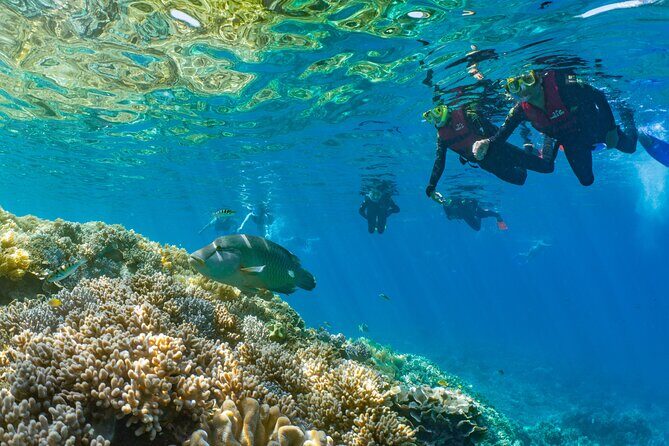 Sunlover Reef Cruises Cairns Great Barrier Reef Experience - How the Tour Works: The Basics