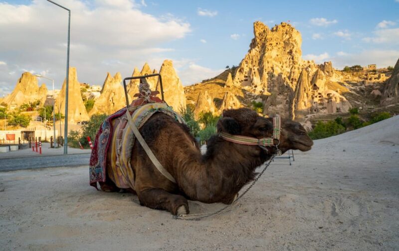 Sunrise and Sunset Camel Ride with Stunning Cappadocia Views - Who Should Consider This Tour?