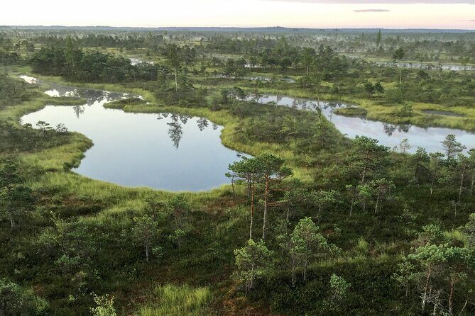 Sunrise at Kemeri National Park - Why the Sunrise Tour at Kemeri National Park Stands Out