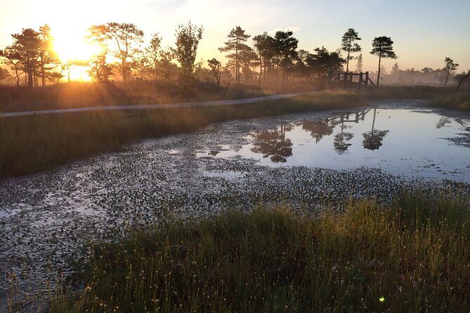 Sunrise at Kemeri National Park - Who Should Consider This Tour?