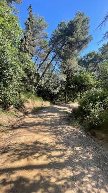 Sunrise at Tibidabo + local breakfast with views - Key Points
