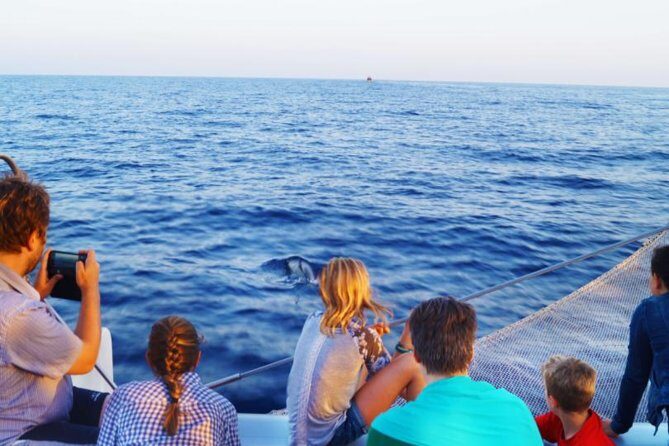 Sunrise Boat Trip in Mallorca with Dolphin-Watching - Is This Tour Worth the Price?