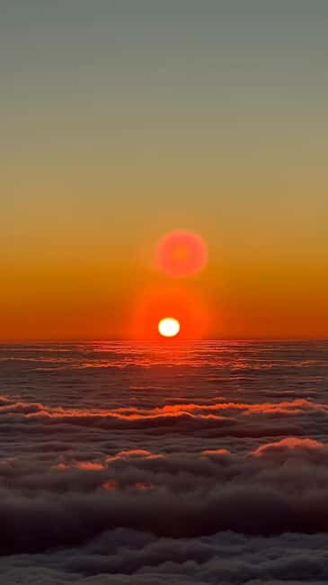 Sunrise by Madeira Surreal + Levada dos Balcões Walk - Transportation, Timing, and Group Size