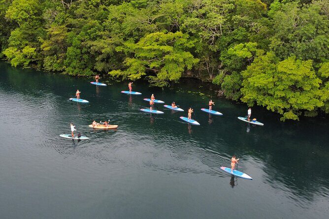 Sunrise by Paddle or Kayak with Floating Picnic - Who Is This Tour Best For?