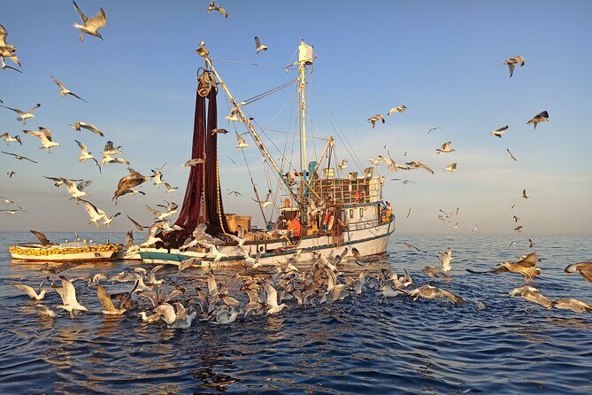 Sunrise Dolphins & Fishermen at Work speedboat tour in Rovinj - Final Thoughts