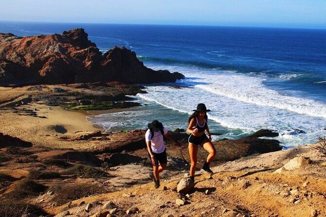 Sunrise Guided Desert Hike in Los Cabos - Authentic Feedback from Travelers