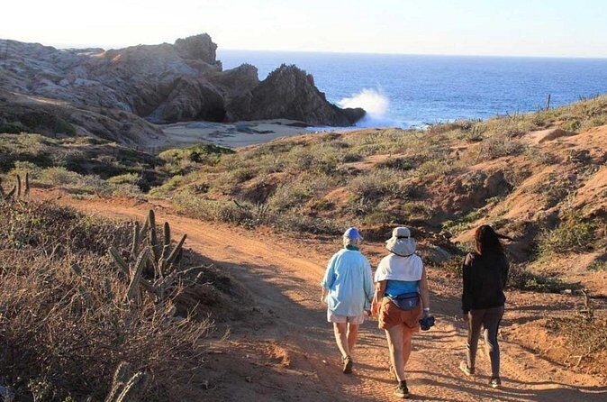 Sunrise Guided Desert Hike in Los Cabos - Who Is This Tour Best For?
