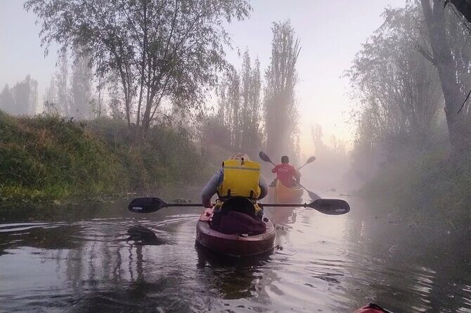 Sunrise Kayak Tour in Xochimilco - The Itinerary in Detail