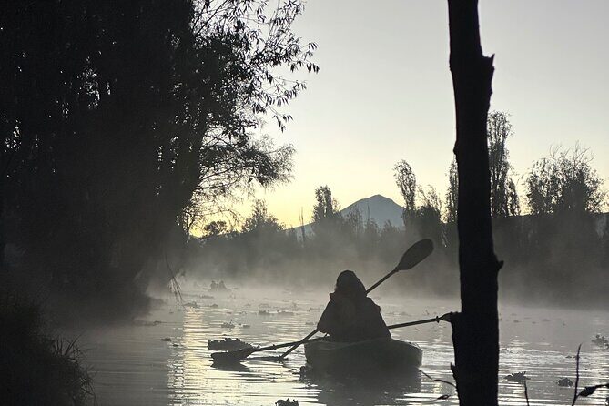 Sunrise Kayak Tour in Xochimilco - Who Is This Tour Best For?