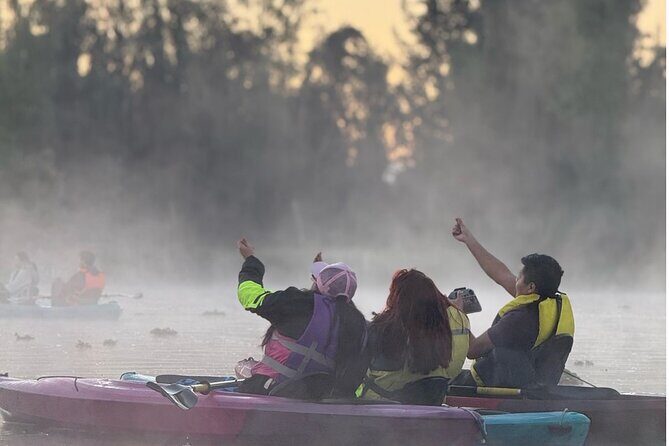 Sunrise Kayak Tour in Xochimilco - The Sum Up