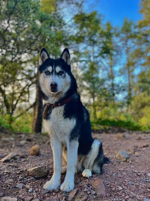 Sunrise on the heights: Pico del Águila. Mexico City. - Is This Tour Worth the Price?