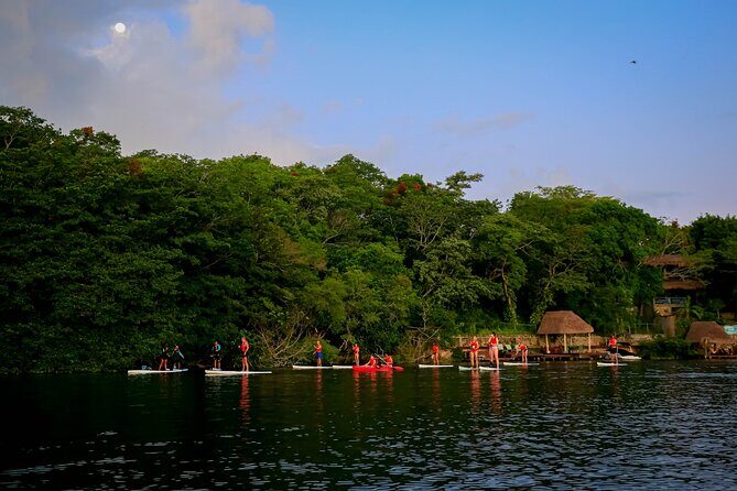Sunrise Paddle Quest: Embrace the Dawn on Bacalar's Waters - Authentic Traveler Feedback
