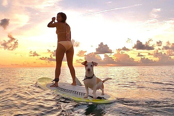 Sunrise Paddle Surf - The Details of Sunrise Paddle Surf in Playa del Carmen