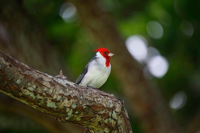 Sunrise Plus Island Tour - The Experience in Detail