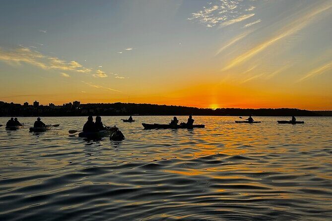 Sunrise Serenity Kayak Tour of Sydney Harbour - The Value of This Experience