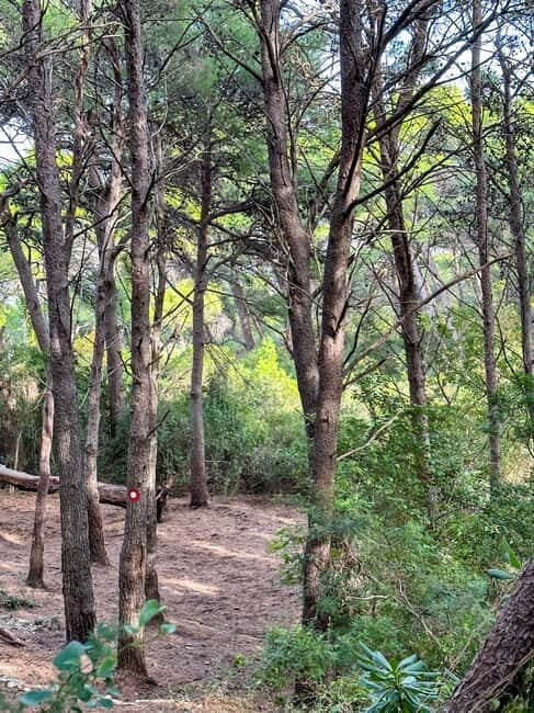 Sunrise & Sunset Hike with Picnic  Mala Petka, Dubrovnik - Key Points