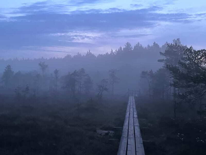 Sunrise Tour To Great Kemeri Bog - An Honest Look at the Sunrise Tour to Great Kemeri Bog