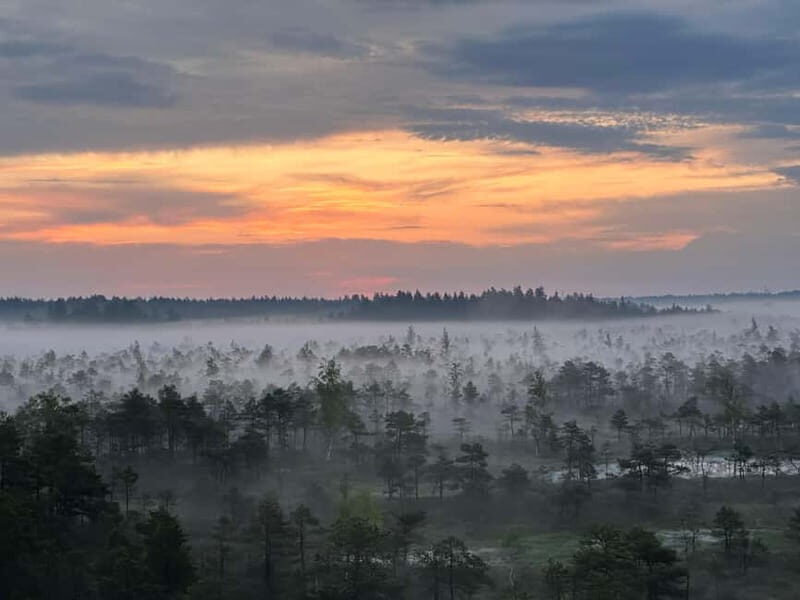 Sunrise Tour To Great Kemeri Bog - Practical Details and Final Thoughts