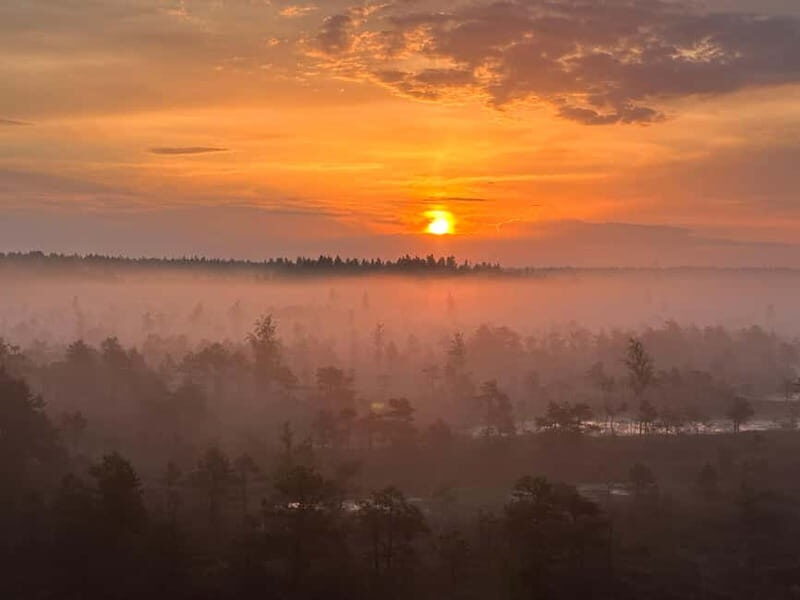 Sunrise Tour To Great Kemeri Bog - FAQs