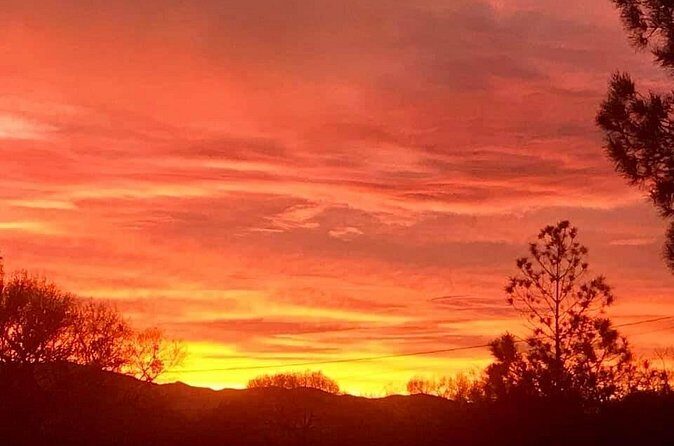 Sunrise Wildlife Safari Tour by Jeep from Sedona - Final Thoughts