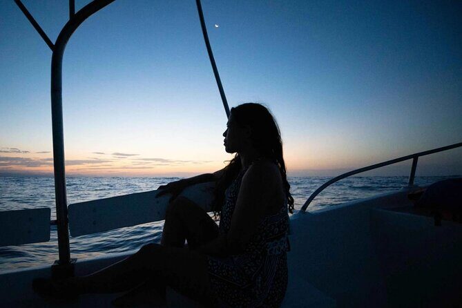 Sunrise with stars and Dolphin sighting in Puerto Escondido! - Practical Details You Should Know