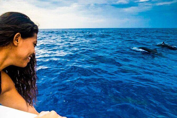 Sunrise with stars and Dolphin sighting in Puerto Escondido! - Who Should Consider This Tour?