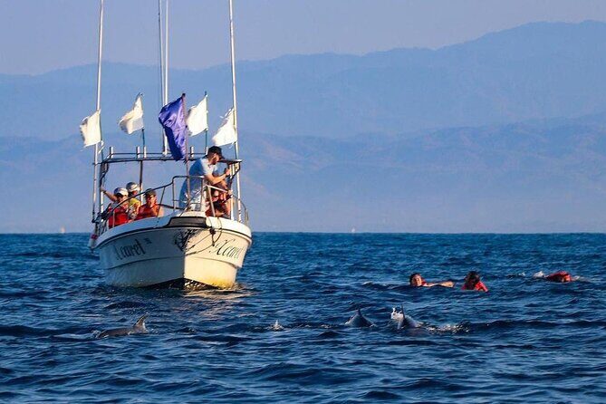 Sunrise with stars and Dolphin sighting in Puerto Escondido! - FAQs