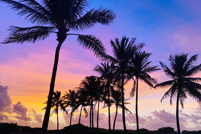 Sunrise Yoga and Meditation by the Ocean in Miami Beach - A Closer Look at Sunrise Yoga and Meditation in Miami Beach