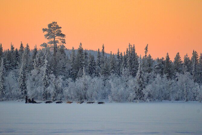 Sunrise Zen Husky Tour (10:00 to 13:00 - sitting on the sled) - An Honest Look at the Sunrise Zen Husky Tour