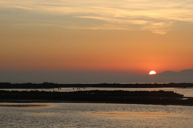 Sunset among flamingos in the Ebro Delta - An In-Depth Look at the Sunset Flamingo Tour