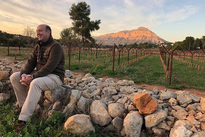 Sunset among Vineyards with Tasting in Alicante (min 6-12 people) - Key Points