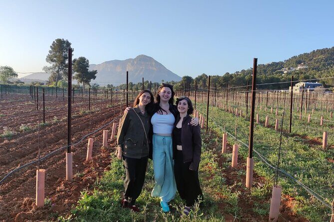 Sunset among Vineyards with Tasting in Alicante (min 6-12 people) - A Closer Look at the Experience