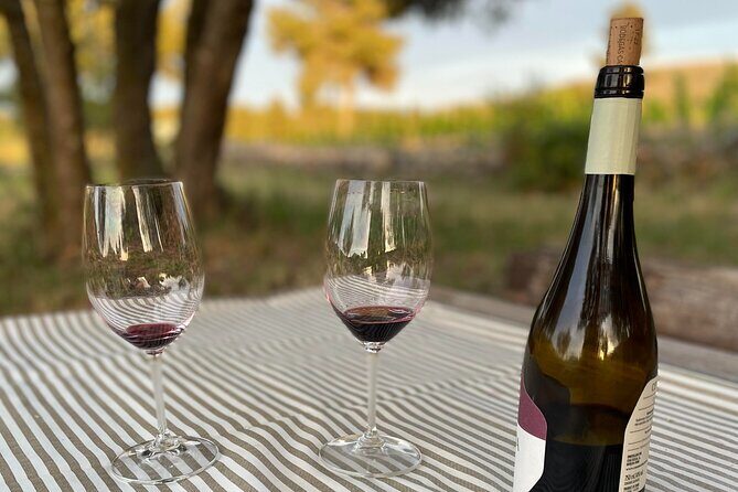 Sunset among Vineyards with Tasting in Alicante (min 6-12 people) - Final Thoughts