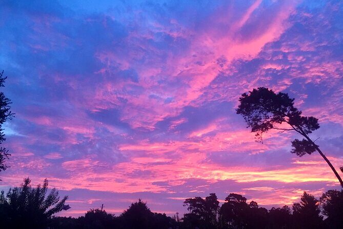 Sunset and Fireworks River Paddle Cruise - Who Should Consider This Tour?