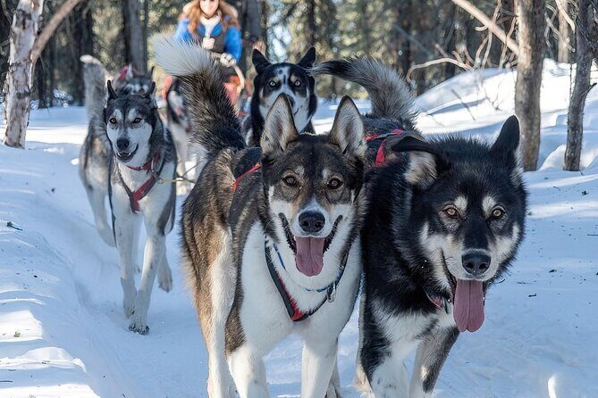 Sunset and Full Moon or Extended Ridge Top Mush - FAQ