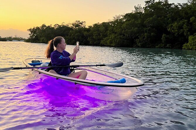 Sunset and Glow Clear Kayak Tour in North Naples - Who Will Love This Tour?