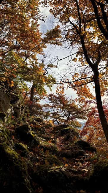 Sunset at the top: Monte Navegna Sunset Hike with Guide - Key Points