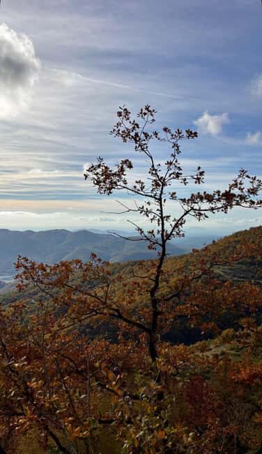 Sunset at the top: Monte Navegna Sunset Hike with Guide - Why This Tour Might Be a Must-Do