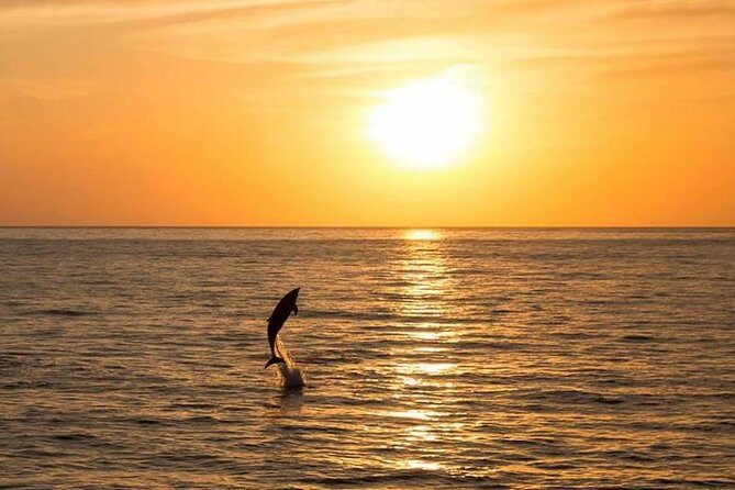 Sunset Beach Hopping Cruise, Cala Comte and Cala Bassa, SUP and snorkelling - Who Should Consider This Tour?