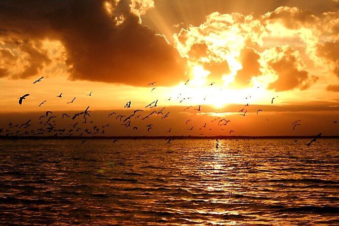 Sunset Bioluminescence Tour - The Sum Up: Is It Worth It?