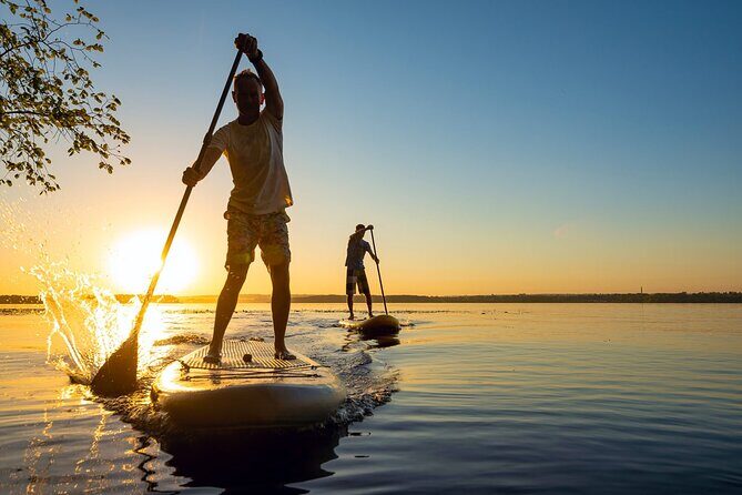 Sunset Bioluminescent Comb Jelly & Dolphin Tour - FAQ About the Sunset Bioluminescent Comb Jelly & Dolphin Tour
