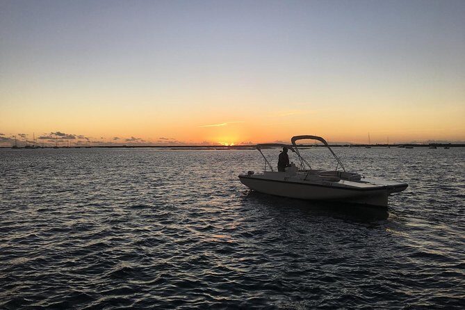 Sunset Boat Trip of Ria Formosa: an Eco-friendly Tour out from Faro - Pricing and Value